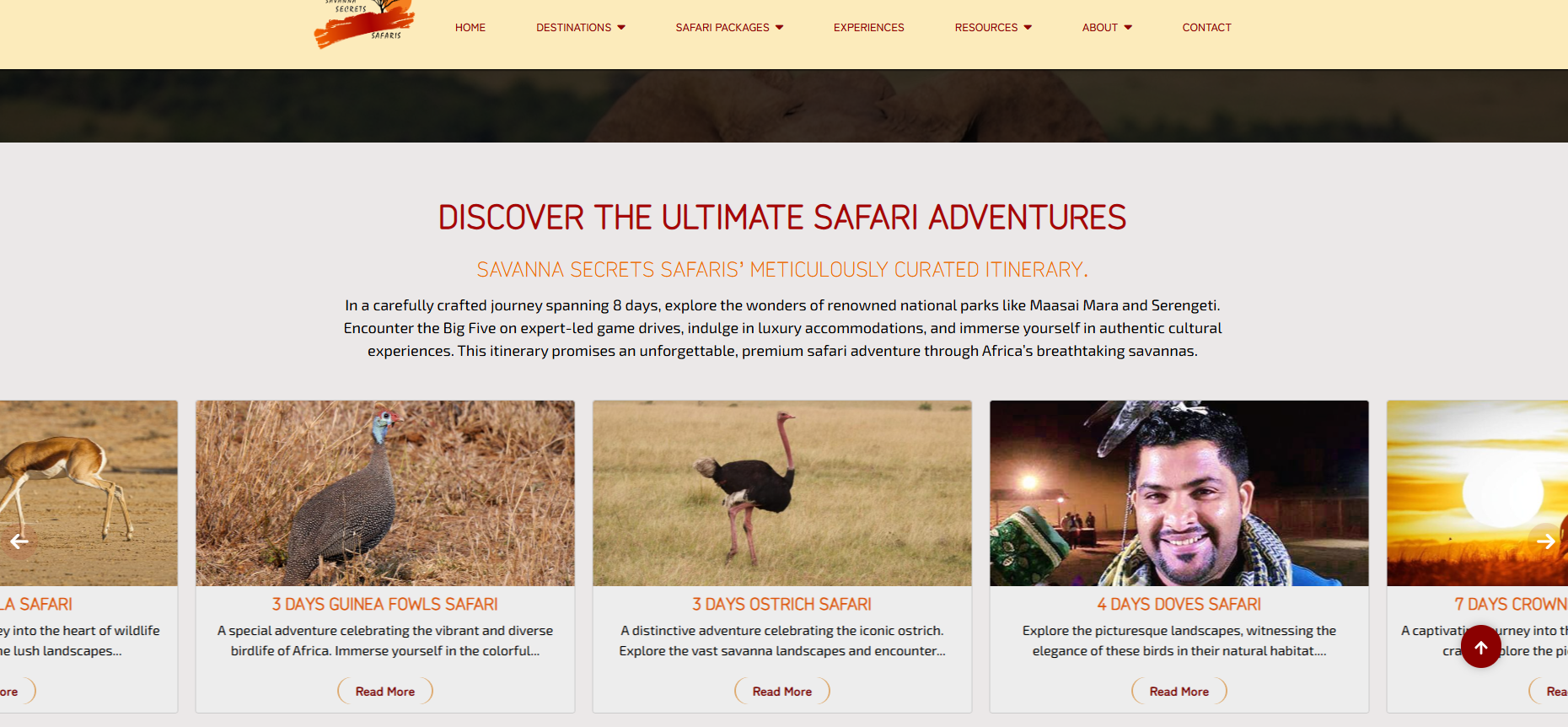 Savanna Secrets Safaris